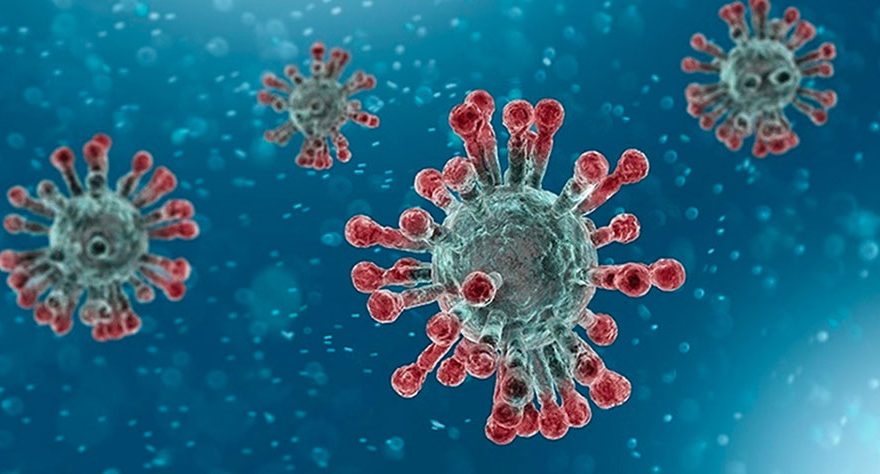 Image of coronavirus particles.