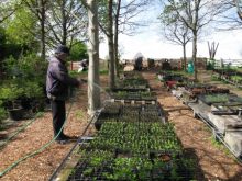 The Tree Life Centre at Grimsbury Farm, Kingswood