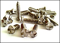 Number plate security screws.